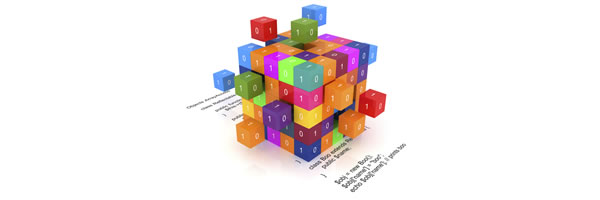  Oprogramowanie i bazy danych na życzenie